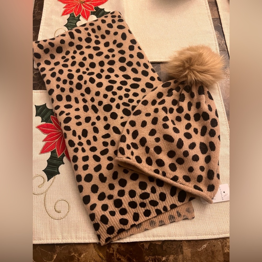 - Ann Taylor Scarf and beanie set New 💚❤️